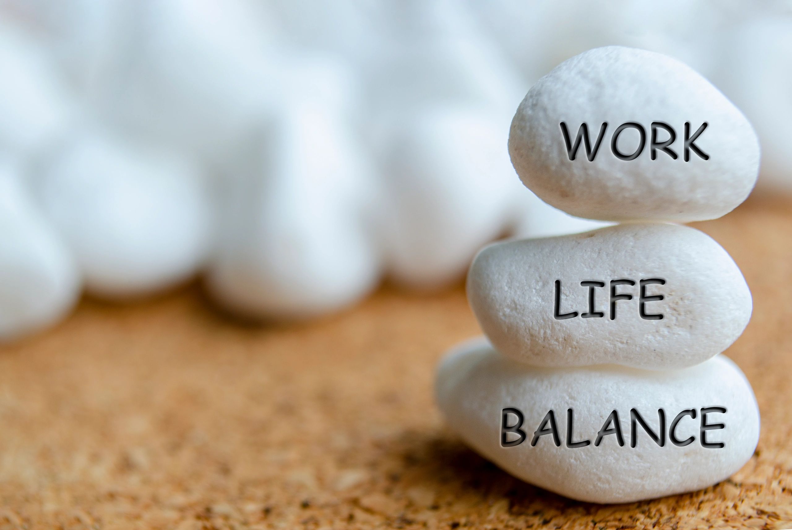 wellness lifestyle organization