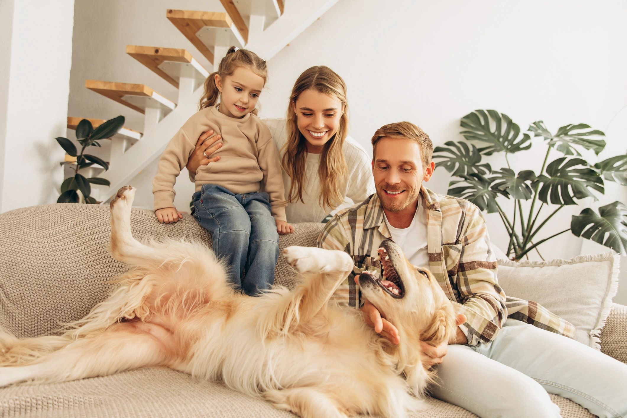wellness lifestyle community